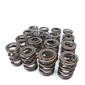 Skunk2 (311-05-1360) Alpha Series Valve Spring Set
