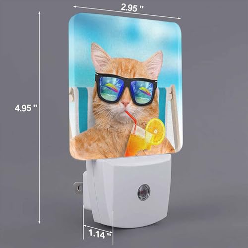 Image of LED Night Light,Funny Cat Sunglasses Relaxing Vacation On Blue Sea LED Night Light Plug into Wall with Dusk to Dawn Light Sensor White Energy Efficient Nightlight for Bedroom Living Room Kitchen