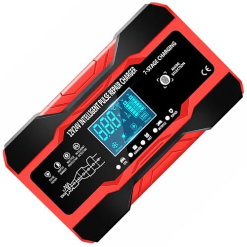RORPOIR Cargador de Batería para Coche y Moto Inteligente con Pantalla, Reparación por Impulsos y Protección Total para Vehículos y Motocicletas