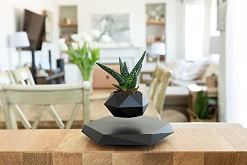 Bandd Floating Plant Pot - For Succulents, Air Bonsai & Air Plants For Home, Office & Desk Decor. Magnetic Levitating Display. (Black) #TOP3