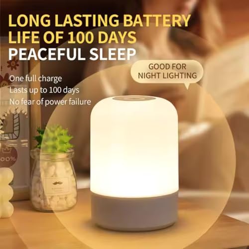 Image of One94Store Oval Shaped LED Table Lamp - USB Rechargeable Touch Night Light with 3 Modes, Dimmable Brightness by Long Press on Power Button, for Bedroom, Living Room, Study & Office (White, Pack of 1)
