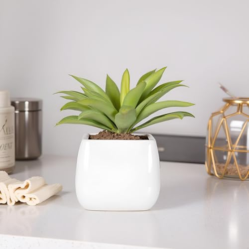 Lasaki Nebi White HT Ceramic Pots for Indoor Plants, Planters,gamla,Outdoor,Balcony,Home,Round,Garden, Office Decor,Succulent(L - 9.5 X W - 9.5 X H - 8 cm)(Plants not Included)