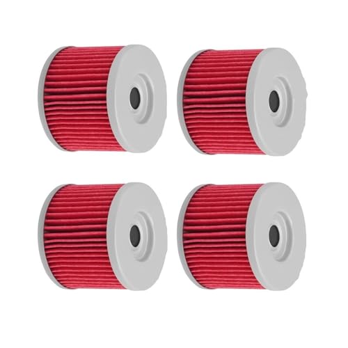 Filtre moto haute filtration pour Bombardier DS650 et MuZ 125 500