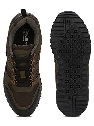 Image of Gold Star Running Shoes for Men | Stylish and Athleisure Walking, Jogging and Sports Men's Shoes | Limited Edition 201 Series