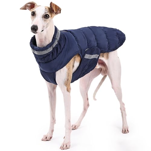 Chaquetas para actividades al aire libre perro grande ropa resistente al viento textil 4