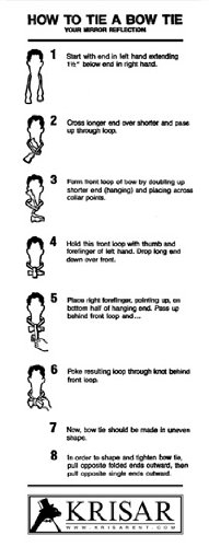 Biagio Self Tie Bow Tie Solid Eggplant Purple Color Men's Bowtie #TOP2