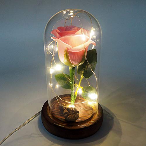 Jieway Beauty and The Beast Rose, Rose Light Dream Flower en una cúpula de Vidrio con luz LED USB Base de Madera Regalo para el día de San Valentín, Bodas