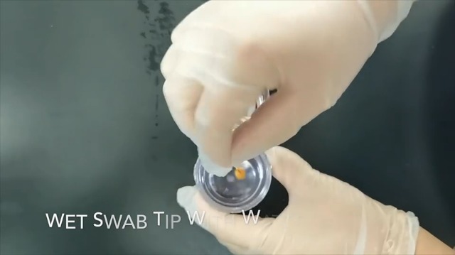 Kit De Test De Plomb ISENVO - 60 Tests Rapides Pour Surfaces Peintes, Céramique, Vaisselle