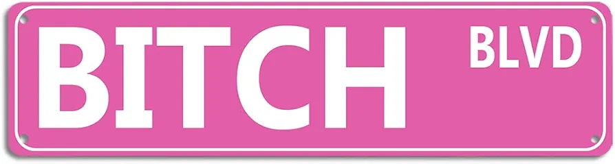 Retro Pink Tin Metal Sign - 'BITCH BLVD' - Bold Statement Decor for Home, Bar, or Dorm - 16x4 Inches - Unique Gift Idea for Friends(B71)