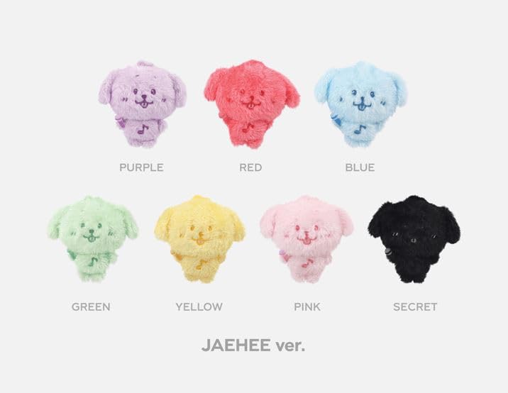 Amazon.co.jp: NCT WISH - 2025 NCT WISH POP UP [ FIND YOUR COLOR