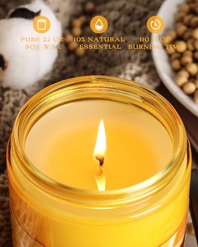 Image of AOOVOO Citrus Lemon Large Odor Eliminating Highly Fragranced Candle - Eliminates 95% of Pet, Smoke, Food, and Other Smells Quickly, Air Freshing Soy Candle, 22 oz Up to 110 Hours Burn time