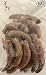 Alaska Red Dried Sea Cucumber-natural Sun Dried(Medium)1lb, Grade AAA