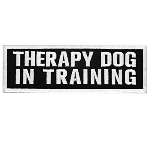 TailWag Planet Therapy Dog in Training Patch Embroidered Vest/Harnesses Badge Fastener Hook & Loop Emblem, 6 x 2 Inches