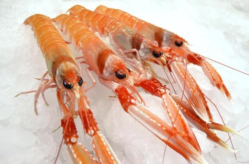 Cigala - Pescadería Premium - 1 kg -Pescado y Marisco Fresco de Lonja (1 kg, Cigala)