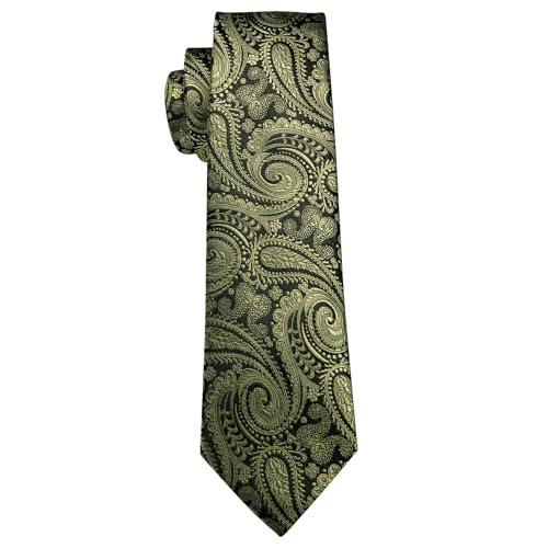 Image of Barry.Wang Paisley Tie Fashion Set Hanky Cufflinks Neckties for Men Woven Silk