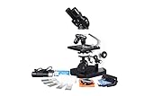microscopio omax 40x-2500x Head: binocular inclined at 45 degrees, 55-72mm interpupillary distance