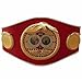 PLACE MAART Adult Size 5 WBC WBA WBO IBF IBO Championships Boxing Belts Discount Deal, SAME AS IMAGES