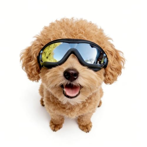 Enjoying Dog Sunglasses Small Breed Dog Goggles UV Protection Cycling Eye Protection for Small Dogs Outdoors Breathable Windproof Dustproof Anti-Fog Adjustable Straps Black