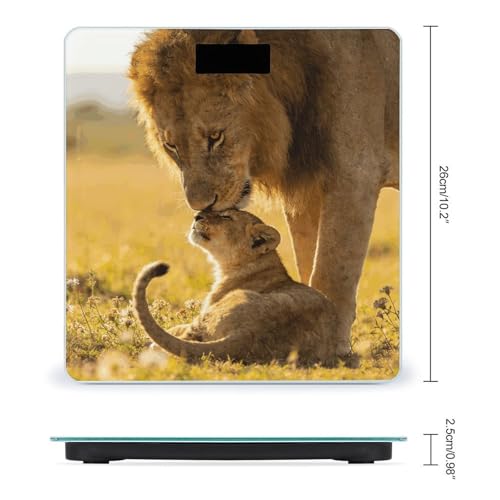 Báscula digital corporal precisa con pantalla LCD grande miniatura 2