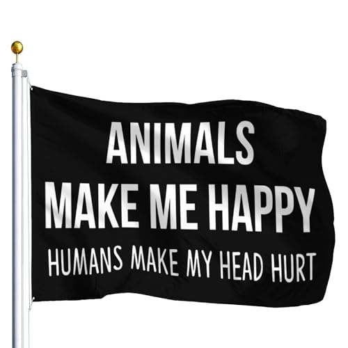 Image of Pasted-20250826-142307 Flag For Classroom