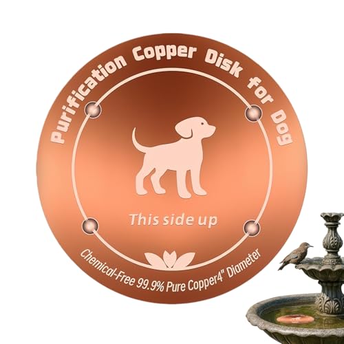 Disco de Cobre para Baño de Pájaros | 9.9 Cm Bandeja De Cobre Natural Reforzado | Baño De Aves Al Aire Libre - Para Alimentos Animales Aviario Pájaros Jardín Patio Parque