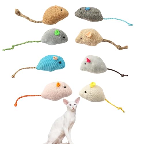 Lifetips IG^V[gwA Oriental Shorthair Lp lY~ʂ 8Zbg qL L V XgXU ^s ӂӂf L炵  ybgObY