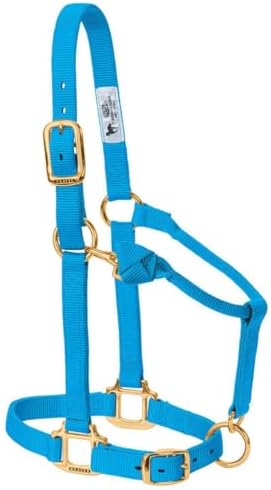 Weaver Leather Original Adjustable Nylon Horse Halter, Yearling, Hurricane Blue