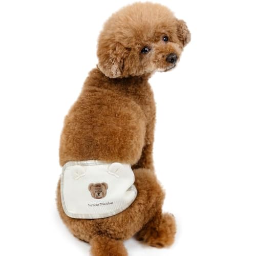 ybgp_CX   t  ܂ hJ }i[xg R hL ^ yQl 3S |jA [L[ (`3kg) ybgp_CXcX72XܓWJ2025/10/1_z