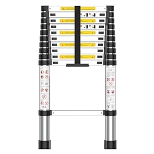 Kidsbuddy Pro Teleskopleiter Aluminium 3.2M
