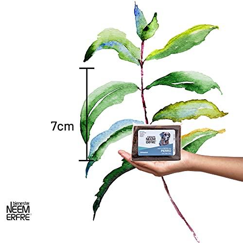 Cuidado Femenino, Guild Imagen adicional