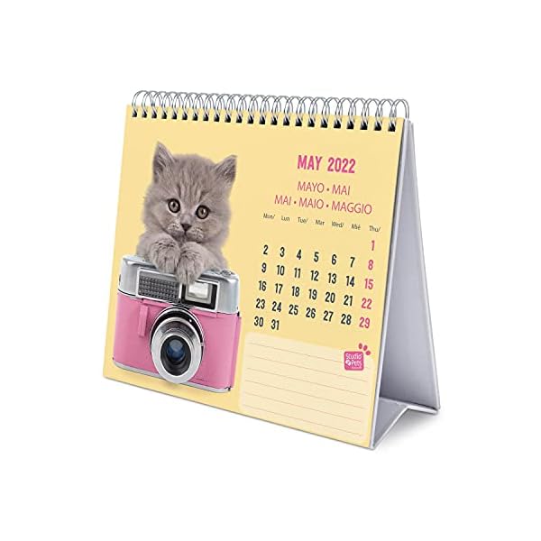Grupo Erik Tischkalender 2022 - Studio Pets Katze Kalender 2022 Tischkalender - Tischplaner 2022 Planer 2022 – Bild 5