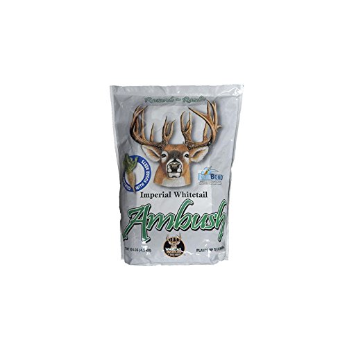 Whitetail Institute Ambush Deer Food Plot Seed, Annual Forage Seed Blend Fortified with Sugar Beets for Excellent Early and Late Season Deer Attraction, 10 lbs (.25 Acre)