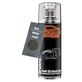 ral 6006 kaufen Extrem hohe Farbtongenauigkeit gemäß RAL Classic.