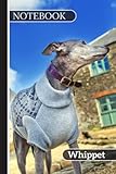  Lévrier whippet notebook: Cute Whippet Dog Lined Journal 120 Pages, Whippet Dog Notebook gift for a Dog Lover