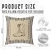 Trenstise Western Cowboy Pillow Covers 18x18 Set of 2, Western Room Decor, Vintage Striped Rodeo Horse Rider Cowboy Boots Decorative Throw Pillow Cover for Home Bedroom Living Room Office
