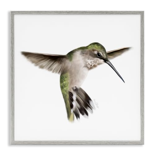 Green Hummingbird Nature Bird, 12 x 12 Inch Framed Giclée Print