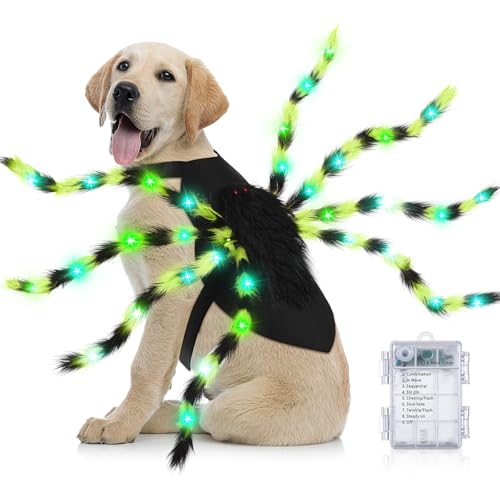 Disfraz para perro Araña con luces LED para Halloween