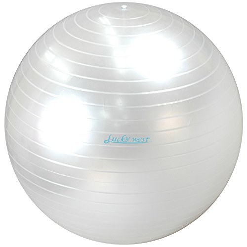 ラッキーウエスト ヨガボール55cm パールホワイト LG-321