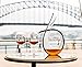 Riedel Veritas New World Pinot Noir, Nebbiolo & Rosé Champagne Glass