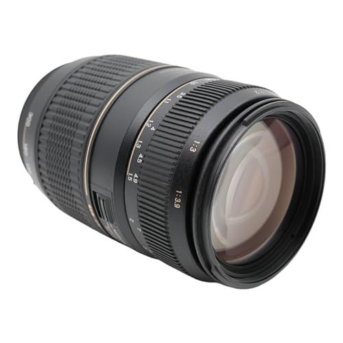 タムロン TAMRON AF70-300mm F4-5.6 Di MACRO A17P