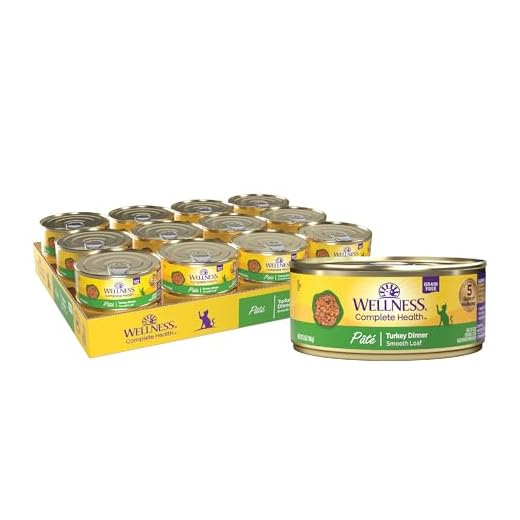 Wellness Complete Health Pate Adult Wet Cat Food, Natural, Protein-Rich, Grain Free, 5.5 Ounce, 24 Pack, (Turkey)