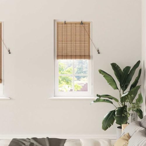 Estor Enrollable Con Bambú Natural, Filtrado De Luz Y Privacidad, Estores Enrollables, Estor Ventana, Adecuado Para Salón Y Dormitorio, Marrón Claro, 60 x 220 cm, Número De Artículos 1