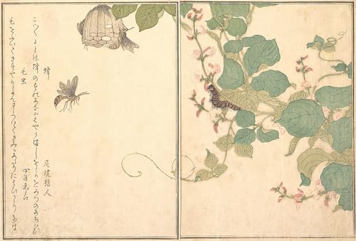 Pinturas murales retro Kitagawa Utamaro póster japonés de 60x90cm