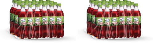 Image of Bindu Fizz Jeera Flavoured Carbonated Masala Soda Refreshing Summer Drink - 600 ml Pet (Pack of 48)