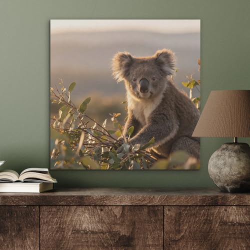 Fieltros Arte Visual MuchoWow 60x60 cm para Dormitorio Moderno con Diseño de Koala 4