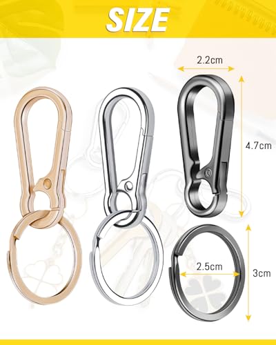 3 Stück Karabiner Schlüsselanhänger, Karabinerhaken Klein Metall Schlüsselkarabiner Carabiner, Schlüsselring mit Karabiner für Aufhängen im Rucksack, Autoschlüssel (Silber)