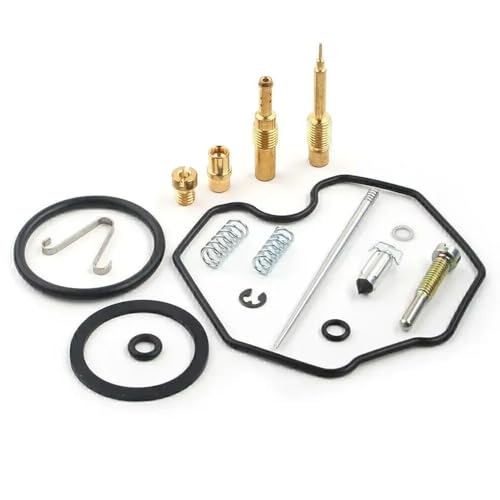 Soluciona fallos de arranque con el Carburetor Rebuild Kit 4