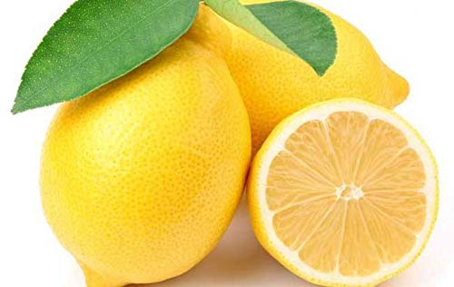 Correction Tape Mini White Out Tape 315 Length Writing Tape for School Students Pack of 20