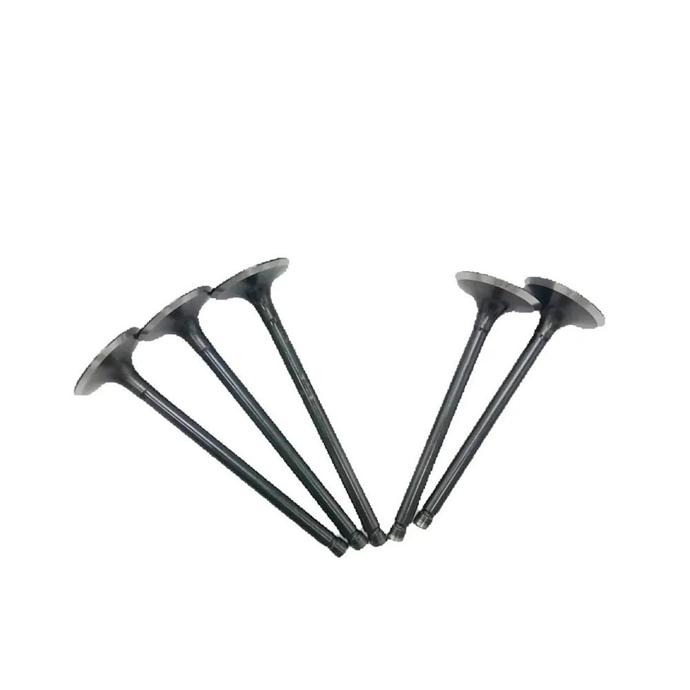 Soupapes d'admission d'échappement pour fuite compression HS700 - 7