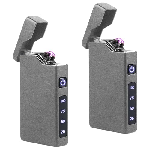 2 mecheros eléctricos, arco eléctrico, encendedor portátil con indicador de batería, recargable mediante USB, regalo unisex con caja de regalo (gris)